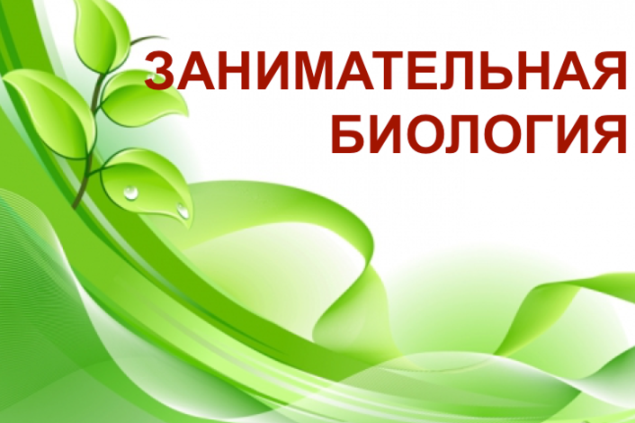 НАВИГАТОР ДОПОЛНИТЕЛЬНОГО ОБРАЗОВАНИЯ ДЕТЕЙ КУЗБАССА - ЗАНИМАТЕЛЬНАЯ ...