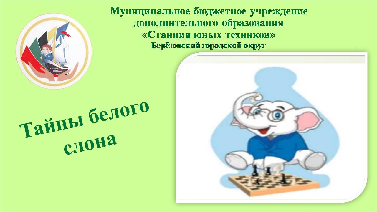 НАВИГАТОР ДОПОЛНИТЕЛЬНОГО ОБРАЗОВАНИЯ ДЕТЕЙ КУЗБАССА - Тайны белого слона